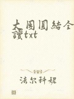 大团圆结全文阅读txt