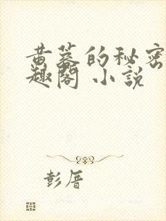 黄蓉的秘密 笔趣阁 小说