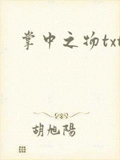 掌中之物txt封面