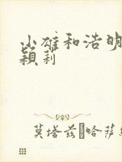 小雄和浩明夹击颖莉封面