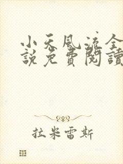 小天风流全集小说免费阅读