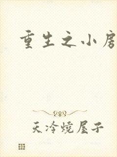 重生之小房东