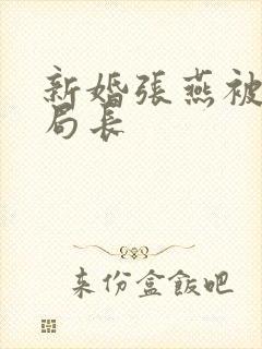 新婚张燕被两个局长封面