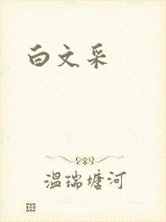 白文采