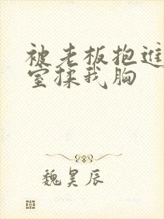 被老板抱进办公室揉我胸封面