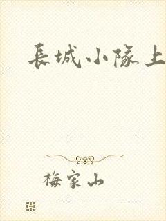 长城小队上中下