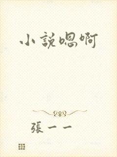 小说嗯啊