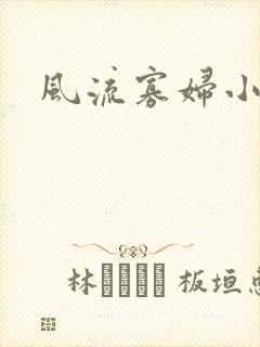 风流寡妇小说