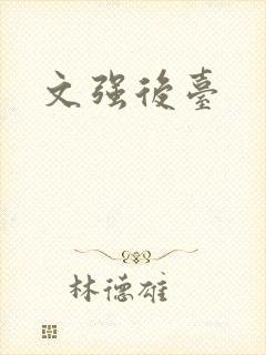 文强后台