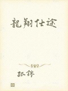 龙翔仕途