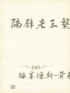 隔壁老王系统