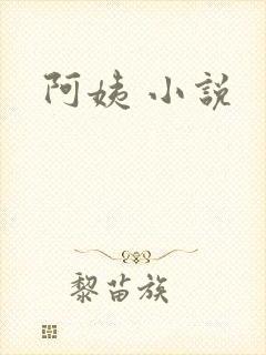 阿姨 小说