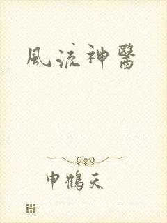 风流神医