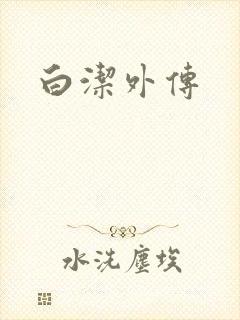 白洁外传