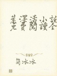叶泽涛小说全文免费阅读全文
