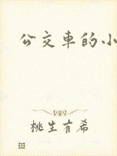 公交车的小说
