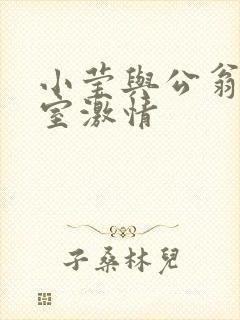 小莹与公翁办公室激情