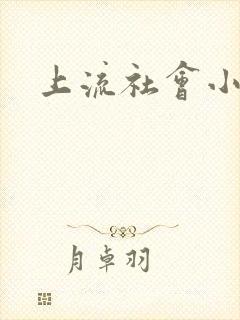 上流社会小说