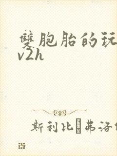 双胞胎的玩具1v2h
