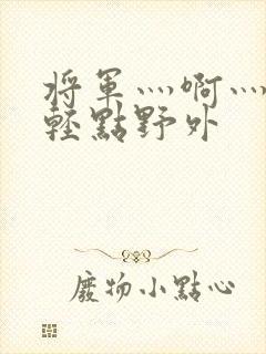 将军灬啊灬啊灬轻点野外封面