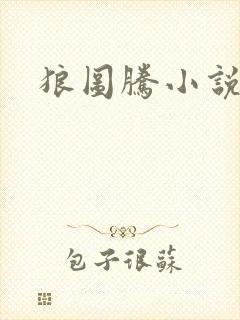 狼图腾小说