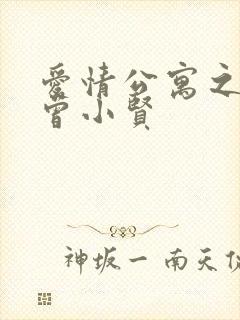 爱情公寓之极品曾小贤