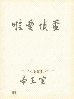 唯爱侦查