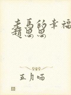 老马的幸福生活赵思思封面
