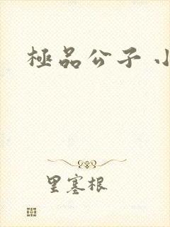 极品公子 小说