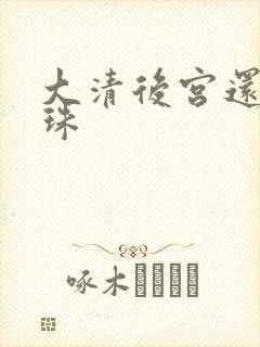 大清后宫还君明珠