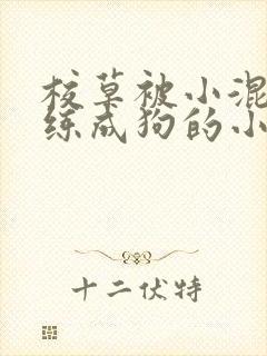 校草被小混混训练成狗的小说
