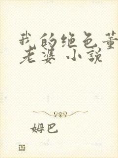 我的绝色董事长老婆 小说封面