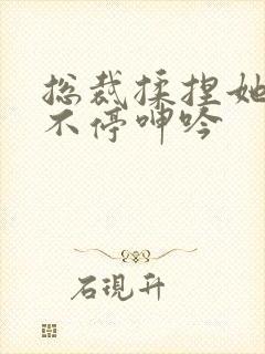总裁揉捏她两乳不停呻吟