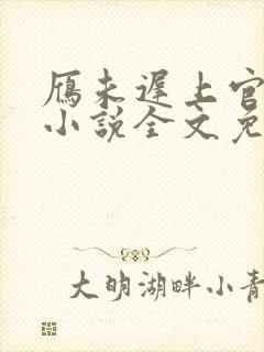 雁未迟上官穿越小说全文免费阅读