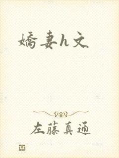 娇妻h文