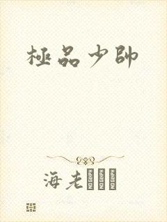 极品少帅