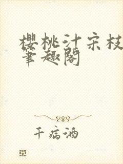 樱桃汁宋枝江野笔趣阁封面