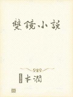 双镜小说