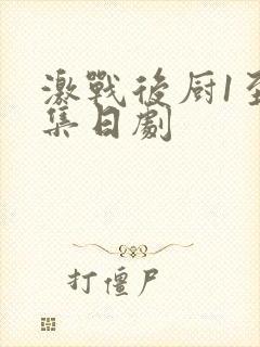 激战后厨1至5集日剧