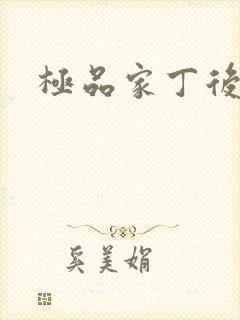 极品家丁后传