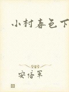 小村春色下载