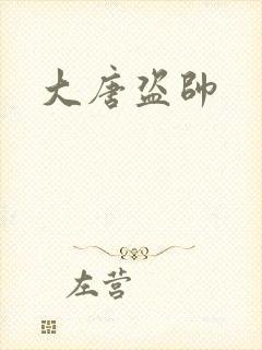 大唐盗帅