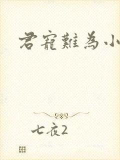 君宠难为小说