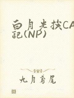 白月光挨CAO记(NP)