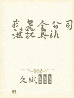 我是全公司的发泄玩具ih封面