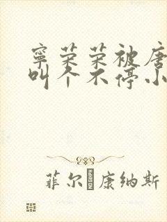 宁荣荣被唐三桶叫个不停小说