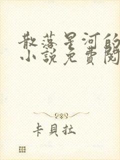 散落星河的记忆小说免费阅读全文封面