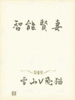 智能贤妻