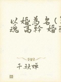 以婚为名 (军魂 高干 婚恋)