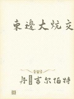 东边大炕交换